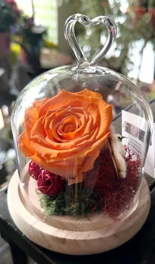 Roses éternelles