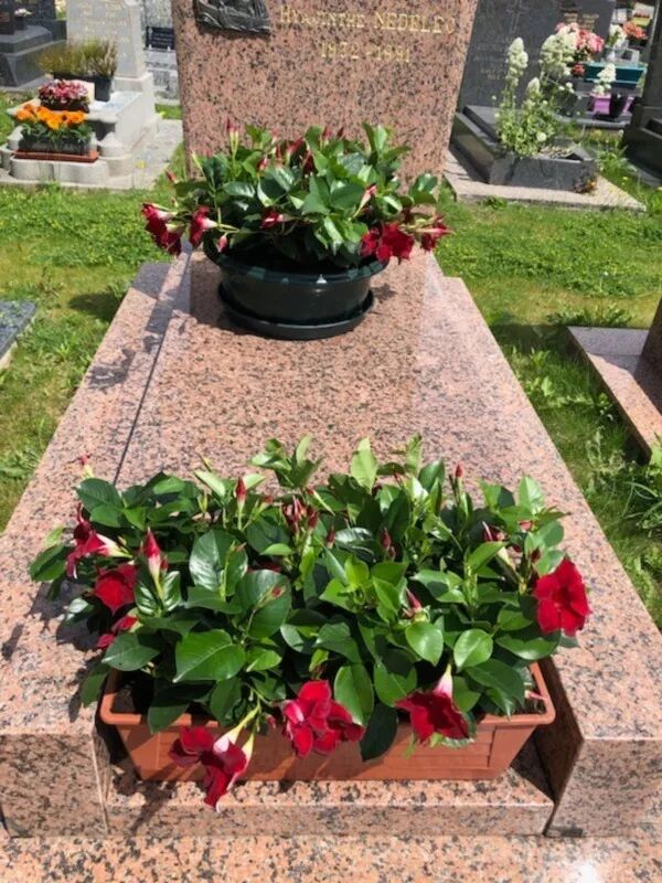 Fleurissement de tombes