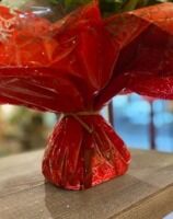 Le bouquet de la fleuriste et sa bulle d'eau