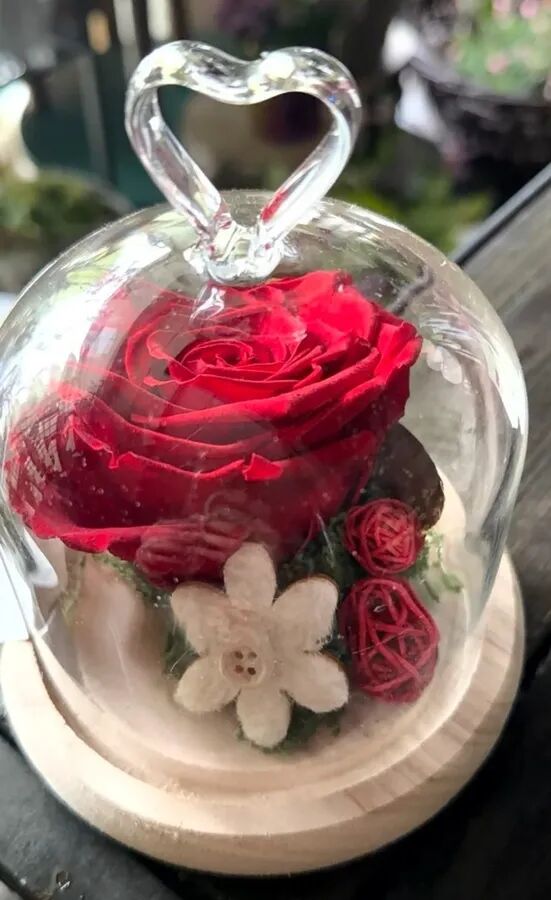 Rose rouge éternelle et son écrin de verre