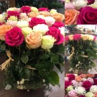 Le piqué de roses seul