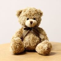 Bonheur pétillant et l'ourson Harry