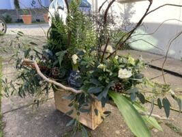 Coin de verdure seul