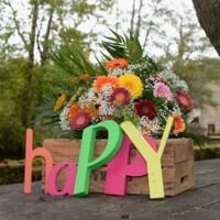 Bonheur pétillant seul