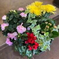 La coupe de plantes seule